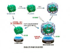 澳门金沙官网：分别以葡萄糖氧化酶（GOx）和酪氨酸酶（Tyr）为模型酶